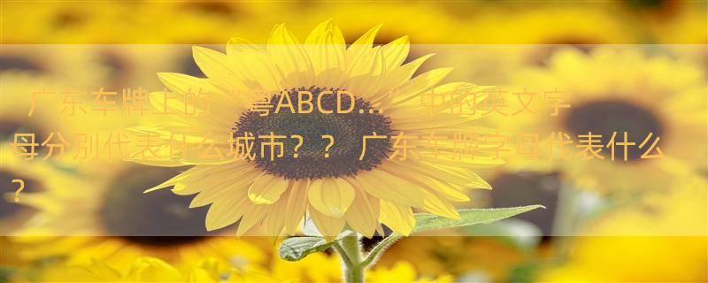 广东车牌上的“粤ABCD...”中的英文字母分别代表什么城市？？ 广东车牌字母代表什么？