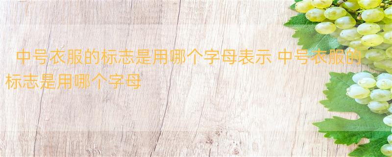 中号衣服的标志是用哪个字母表示 中号衣服的标志是用哪个字母