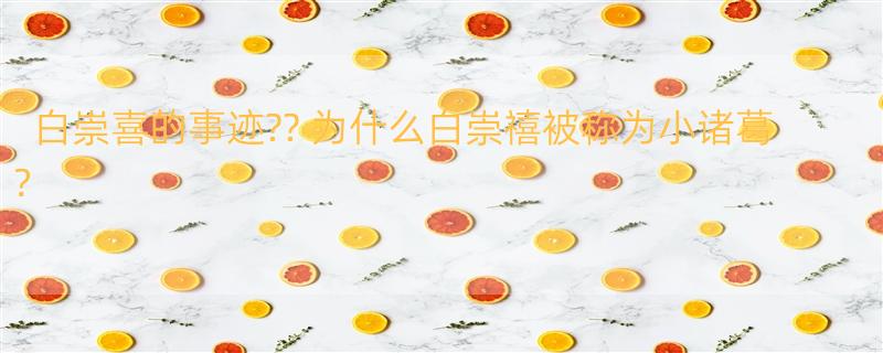 白崇喜的事迹?? 为什么白崇禧被称为小诸葛？