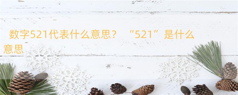 数字521代表什么意思？ “521”是什么意思