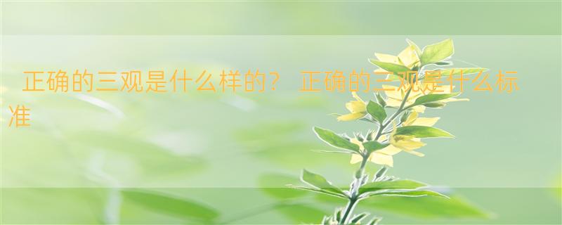 正确的三观是什么样的？ 正确的三观是什么标准