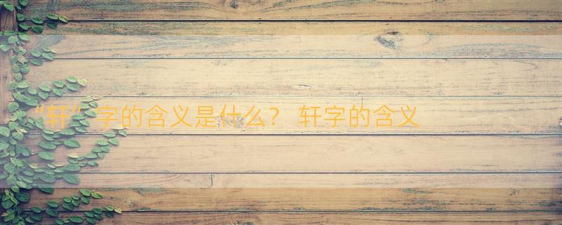 “轩”字的含义是什么？ 轩字的含义