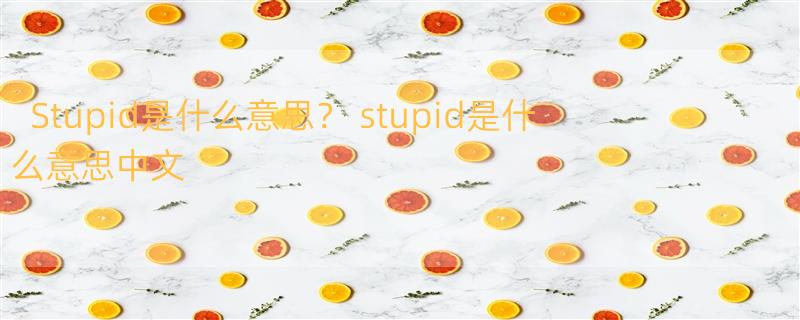 Stupid是什么意思？ stupid是什么意思中文