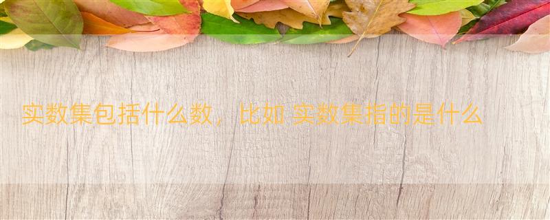 实数集包括什么数，比如 实数集指的是什么