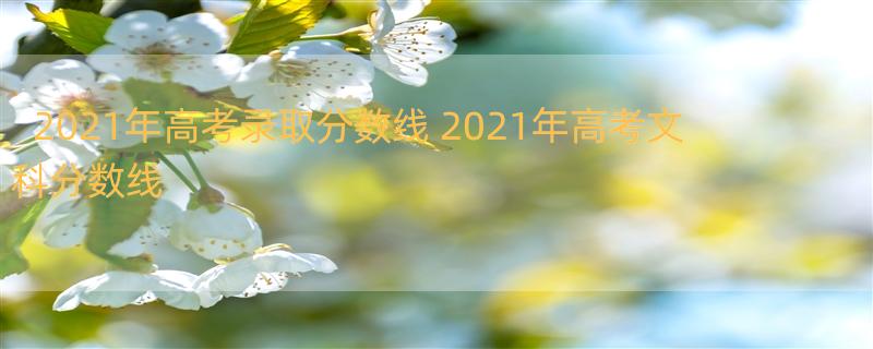 2021年高考录取分数线 2021年高考文科分数线