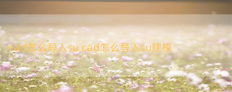 cad怎么导入su cad怎么导入su建模