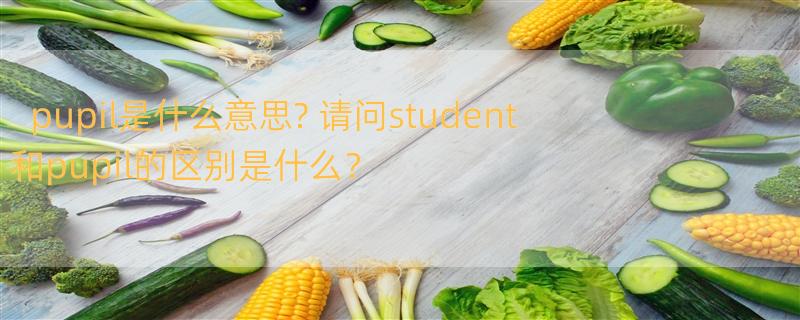 pupil是什么意思? 请问student和pupil的区别是什么？