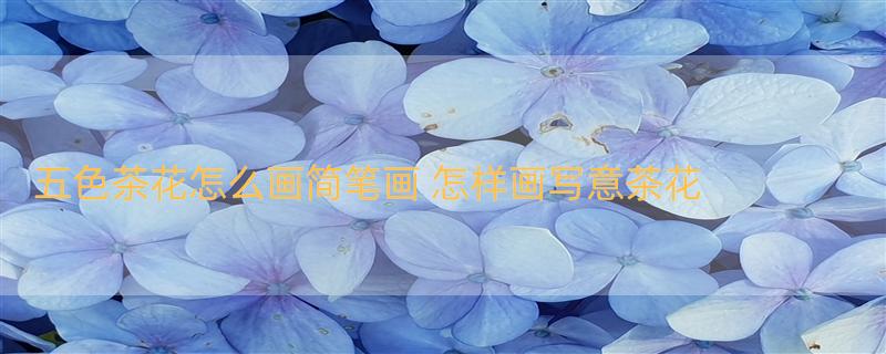 五色茶花怎么画简笔画 怎样画写意茶花