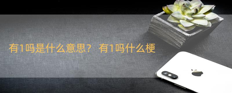 有1吗是什么意思？ 有1吗什么梗