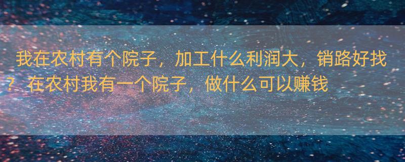 我在农村有个院子，加工什么利润大，销路好找？ 在农村我有一个院子，做什么可以赚钱