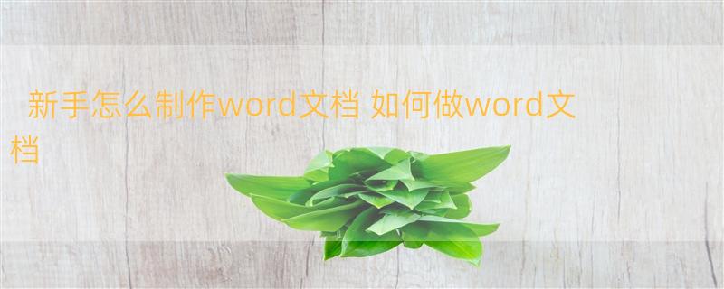 新手怎么制作word文档 如何做word文档