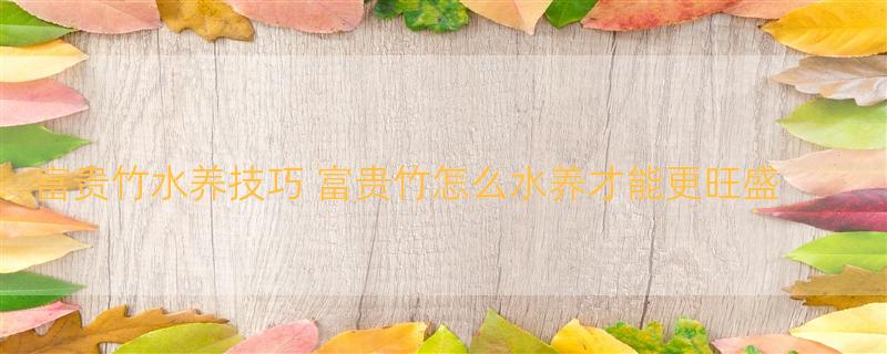 富贵竹水养技巧 富贵竹怎么水养才能更旺盛