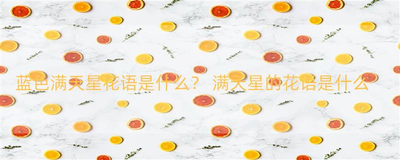 蓝色满天星花语是什么？ 满天星的花语是什么