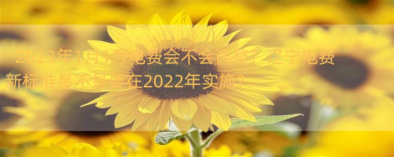 2023年1月1号电费怎么调价 2022辽宁电费执行新标准