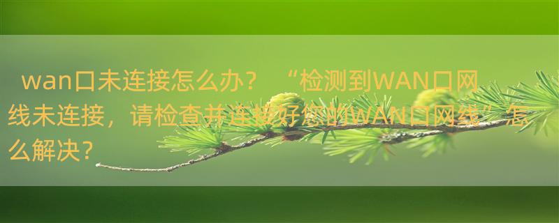 wan口未连接怎么办？ “检测到WAN口网线未连接，请检查并连接好您的WAN口网线”怎么解决？