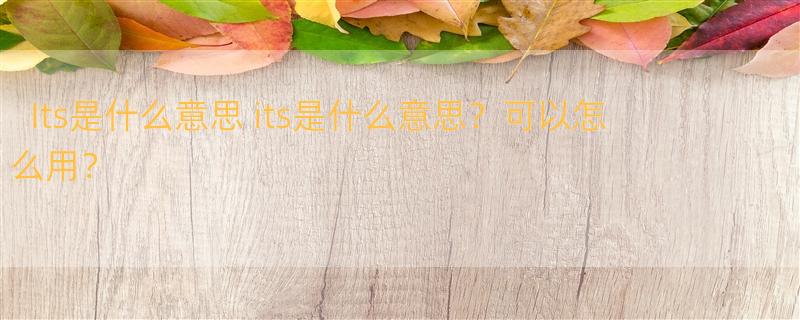 Its是什么意思 its是什么意思？可以怎么用？