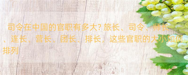 司令在中国的官职有多大? 旅长、司令、师长、连长、营长、团长、排长，这些官职的大小如何排列