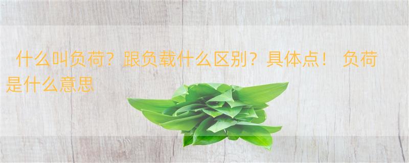 什么叫负荷？跟负载什么区别？具体点！ 负荷是什么意思