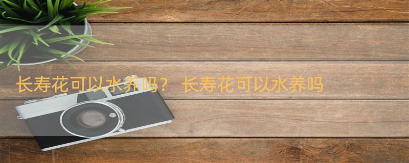 长寿花可以水养吗？ 长寿花可以水养吗