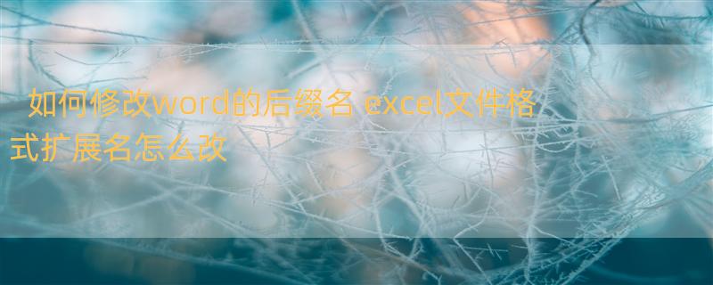 如何修改word的后缀名 excel文件格式扩展名怎么改