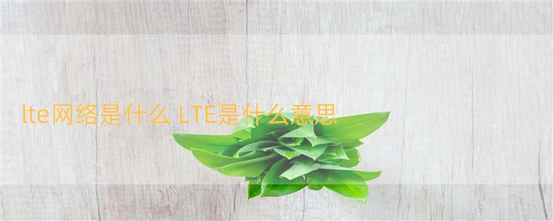 lte网络是什么 LTE是什么意思