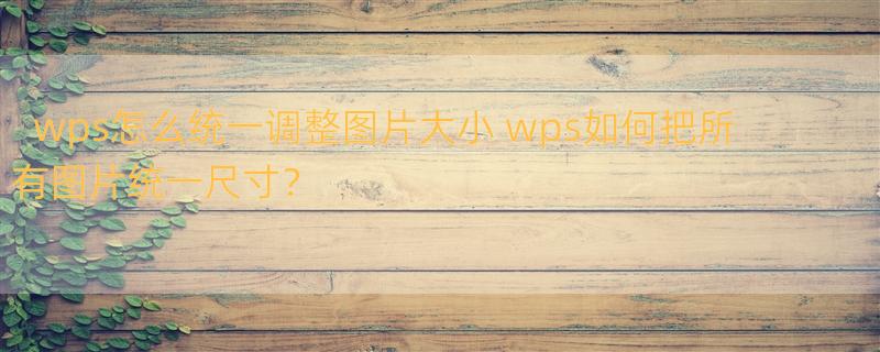 wps怎么统一调整图片大小 wps如何把所有图片统一尺寸？