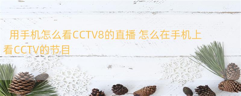 用手机怎么看CCTV8的直播 怎么在手机上看CCTV的节目