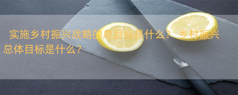 实施乡村振兴战略的总目标是什么？ 乡村振兴总体目标是什么？