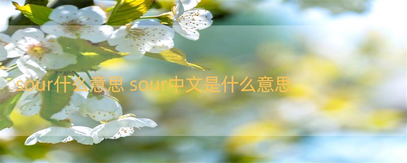 sour什么意思 sour中文是什么意思