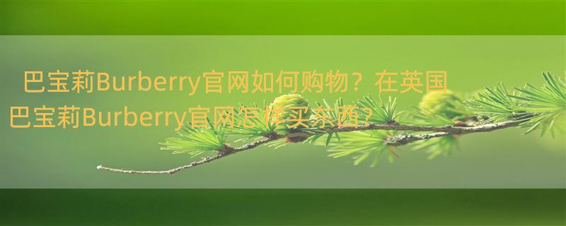 burberry中文官方网站 怎样从英国巴宝莉Burberry官网买东西？