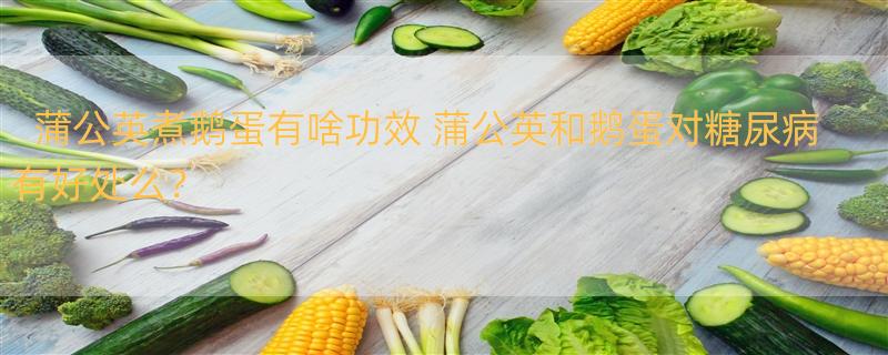 蒲公英煮鹅蛋有啥功效 蒲公英和鹅蛋对糖尿病有好处么？