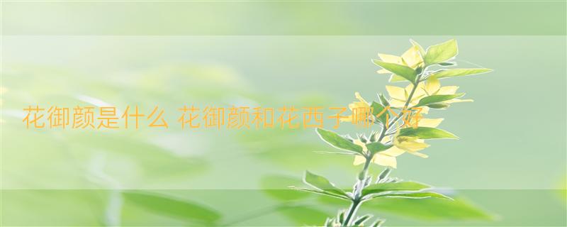 花御颜是什么 花御颜和花西子哪个好