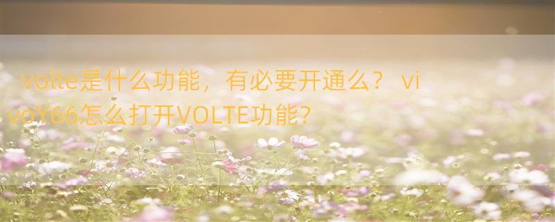 volte是什么功能，有必要开通么？ vivoY66怎么打开VOLTE功能？