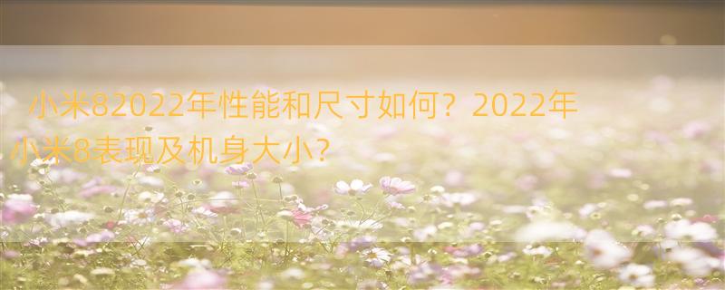 2022年小米8处于什么水平 小米8机身尺寸是多少