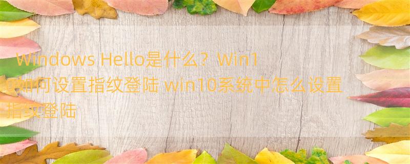 Windows Hello是什么？Win10如何设置指纹登陆 win10系统中怎么设置指纹登陆