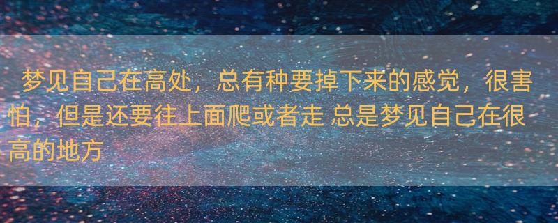 梦见自己在高处，总有种要掉下来的感觉，很害怕，但是还要往上面爬或者走 总是梦见自己在很高的地方