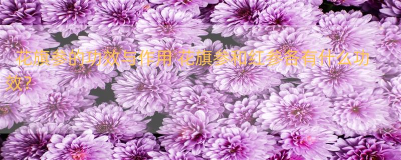 花旗参的功效与作用 花旗参和红参各有什么功效？