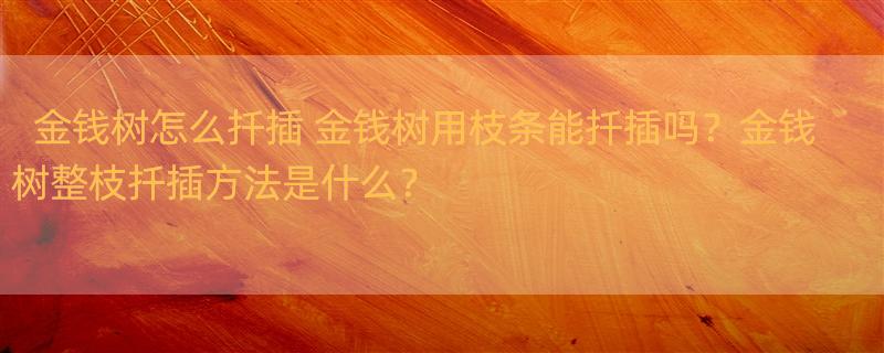 金钱树怎么扦插 金钱树用枝条能扦插吗？金钱树整枝扦插方法是什么？