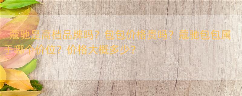 coach是什么牌子？coach包包价格大约是多少？ 蔻驰包属于什么档次？