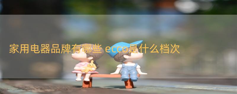 家用电器品牌有哪些 ecco是什么档次