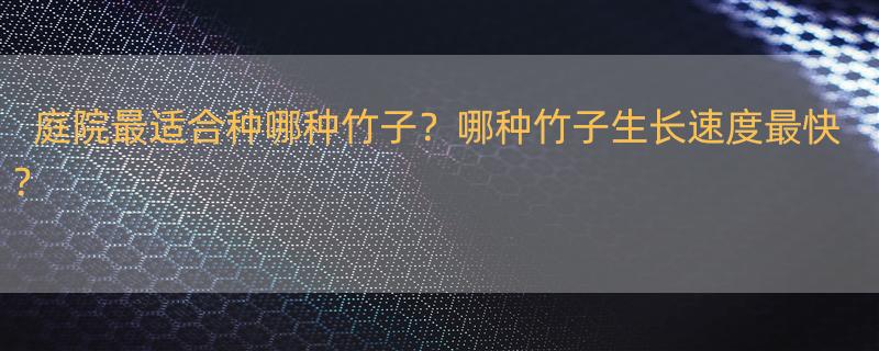 最名贵的竹子是什么 庭院种什么竹子好 ？