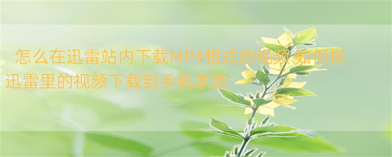 怎么在迅雷站内下载MP4格式的视频 如何把迅雷里的视频下载到手机本地