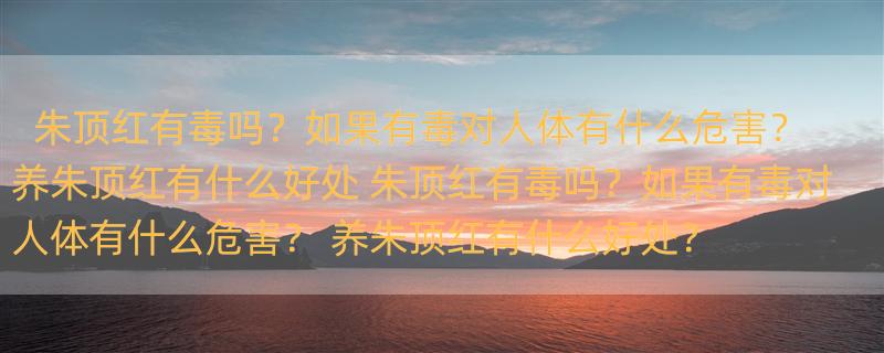 朱顶红有毒吗？如果有毒对人体有什么危害？ 养朱顶红有什么好处 朱顶红有毒吗？如果有毒对人体有什么危害？ 养朱顶红有什么好处？