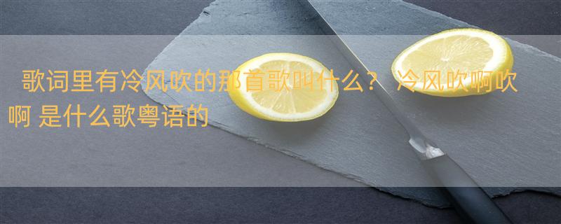 歌词里有冷风吹的那首歌叫什么？ 冷风吹啊吹啊 是什么歌粤语的