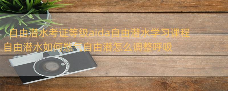 自由潜水考证等级aida自由潜水学习课程 自由潜水如何憋气自由潜怎么调整呼吸