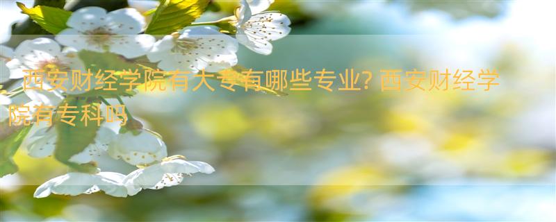 西安财经学院有大专有哪些专业? 西安财经学院有专科吗