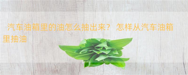 汽车油箱里的油怎么抽出来？ 怎样从汽车油箱里抽油