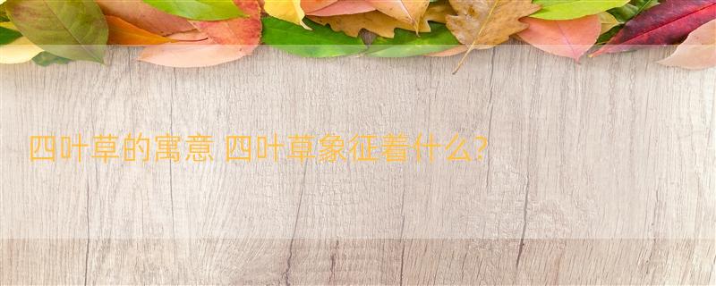 四叶草的寓意 四叶草象征着什么?