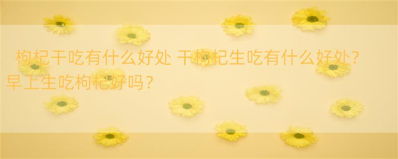 枸杞干吃有什么好处 干枸杞生吃有什么好处？早上生吃枸杞好吗？