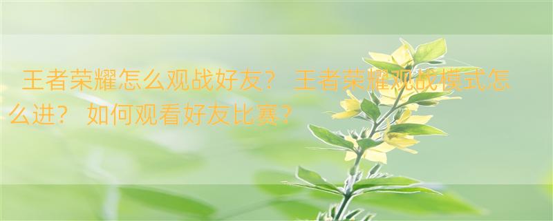 王者荣耀怎么观战好友？ 王者荣耀观战模式怎么进？ 如何观看好友比赛？